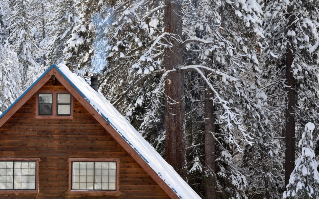 Why Late Winter is the Perfect Time for a Tree Health Check